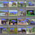 train object detection model for image or video streams