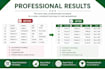 do professional excel formatting and standardization
