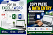 do accurate data entry, excel data entry, PDF to word, copy paste and typing