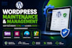 be your wordpress maintenance and management expert