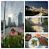 be your interpreter in shanghai