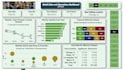 create professional excel dashboards and reports