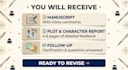 beta read your novel with detailed plot and character report