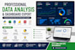 provide professional data analytics and visualization