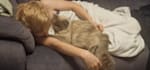 create authentic tiktok and reels ugc with my ragdoll cat