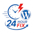 fix wordpress errors, plugin conflicts, and website issues fast