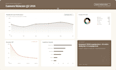 analyze data and create executive reports