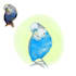 draw custom pet cartoon illustration