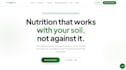 build you a professional website fast