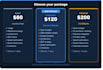build a professional landing page or website