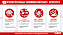 do complete youtube SEO optimization for your channel