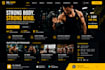 professional website built on wordpress and shopify