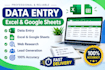 do accurate data entry, excle and google sheets