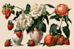 draw botanical illustration, flower, plant