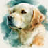 do watercolor pet portrait