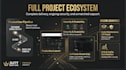 develop a premium custom website