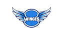 make amazing wings logo with express delivery