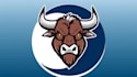 do amazing bull head logo with free source file