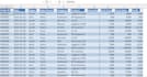 create professional excel dashboard, reports and charts