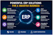 implement,customize,manage your erp system professionally