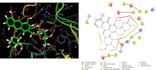 run molecular docking, MD simulation and admet analysis