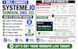 connect systeme io domain dns SSL custom domain and fix website issues