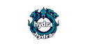 create amazing hydra logo with source file in 12 hours