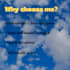 desgin professional canva social media posts ,flyers and posters