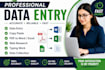do professional data entry, PDF to excel and word typing