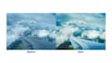 do professional photo editing on adobe lightroom