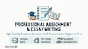do professional assignment writing and essay writing