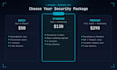 run a website security audit and vulnerability scan