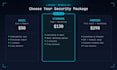 run a website security audit and vulnerability scan