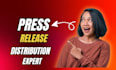 do press release distribution for online exposure in 24hrs