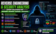 reverse engineer software and perform professional security analysis