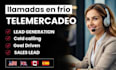 spanish cold calling real estate calling assistant for b2b in USA and canada