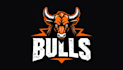 design super bull head logo in 12 hours