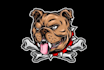 create high quality bull dog logo with free source file