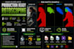 deliver production ready roto mattes for vfx projects