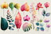 draw a scientific illustration