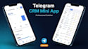 develop custom telegram bot, telegram mini app with ai integration