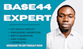 base44 expert base44 bug fixing base44 debugging bubble io base44 integrate