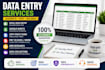 do accurate data entry, excel, google sheets, copy paste and PDF conversion