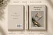 design professional book covers