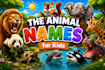 creative animated videos for kids