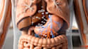 ai medical animation and explainer video 3d anatomy surgery animation