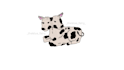do drawings of animals