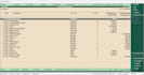do something much more professional work of tally and excel