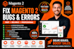 fix magento 2 bugs checkout payment API adobe commerce issues