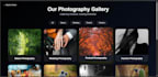 create a modern and responsive photography portfolio website